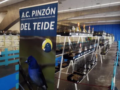 Vogelausstellung