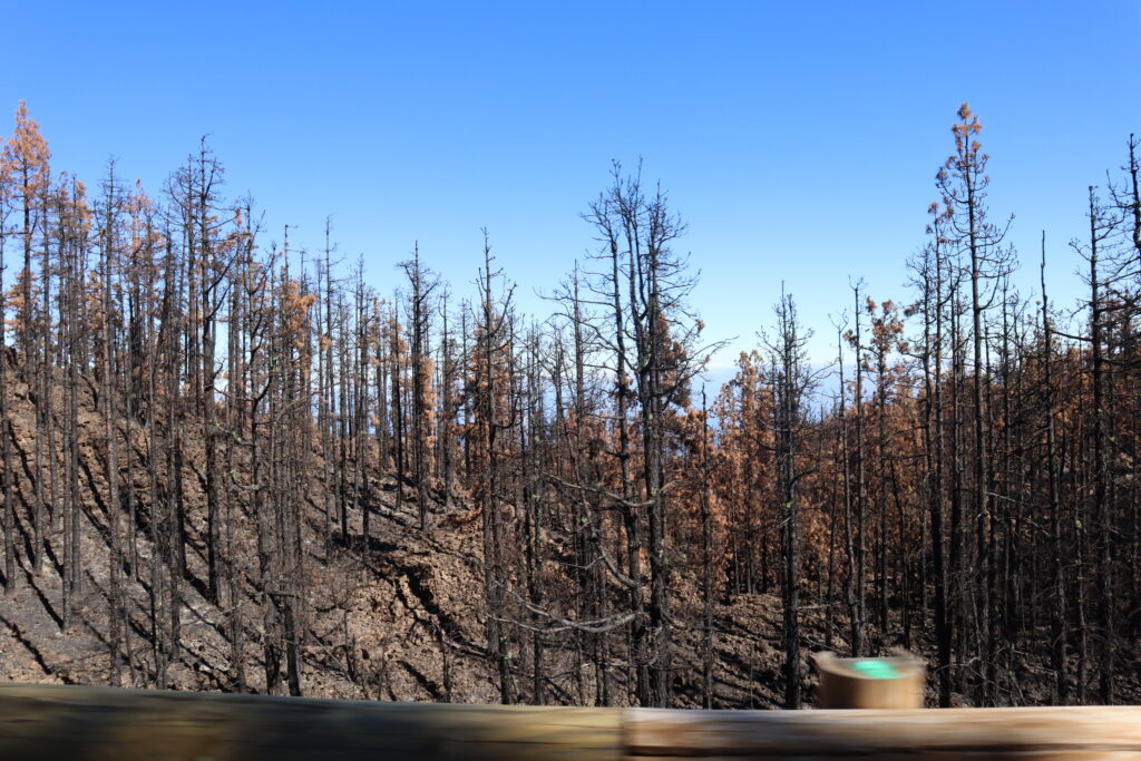 Waldbrand