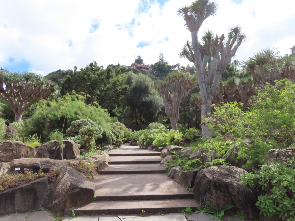 Wachsendes Interesse am Jardín Canario 95 Wachsendes