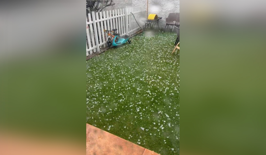 HAgel