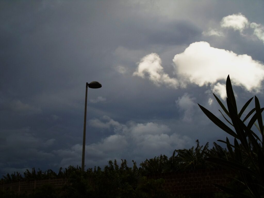 Regenreiches