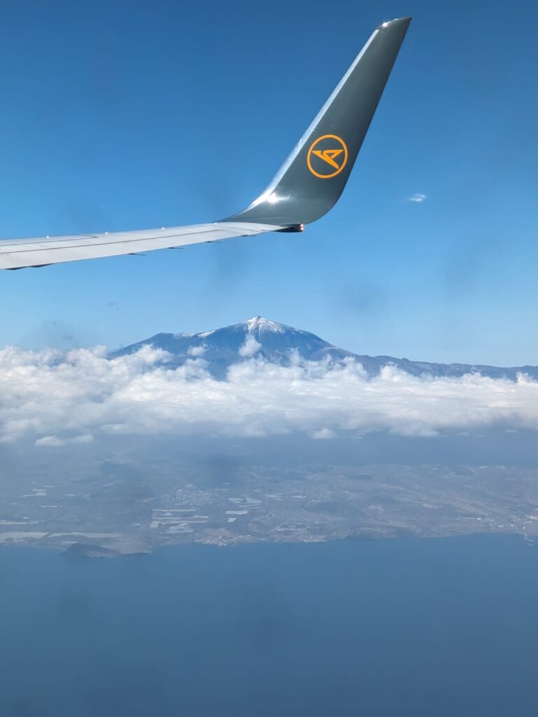 5d6b9011 a9a9 4ef2 9d46 ad5a3f896003