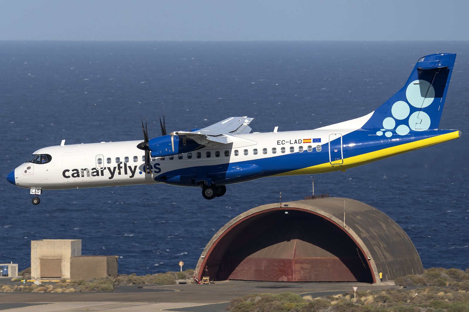 Canaryfly