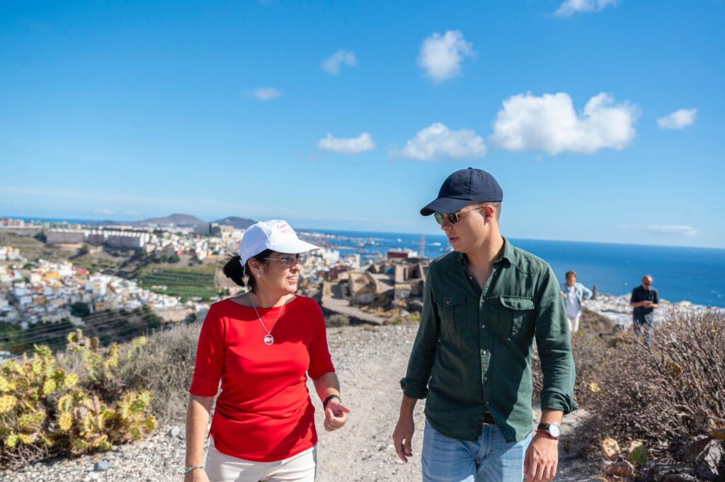 Verteidigungsbatterie