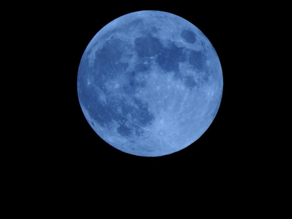 Blauer