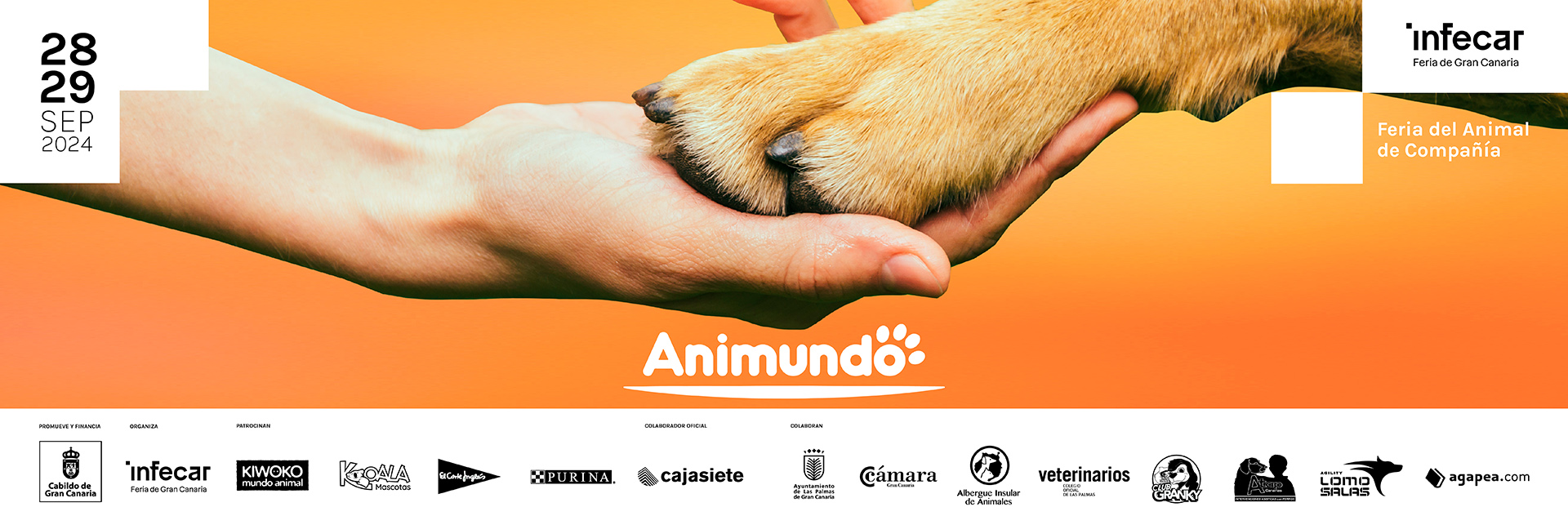 Animundo