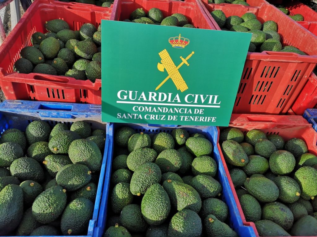 Avocado