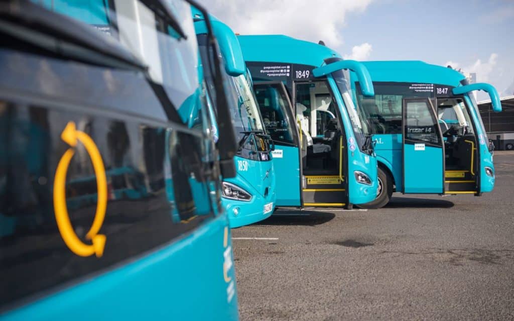 Busgrapscher