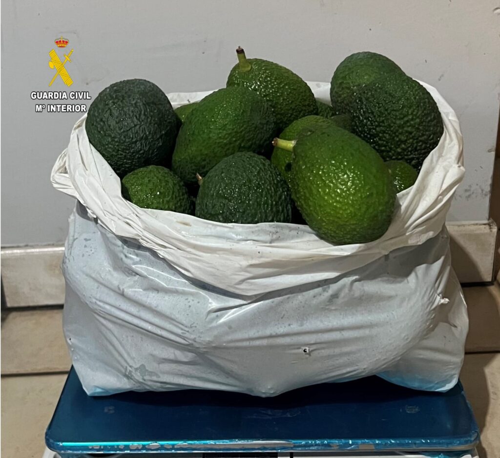 Avocadodiebstahl