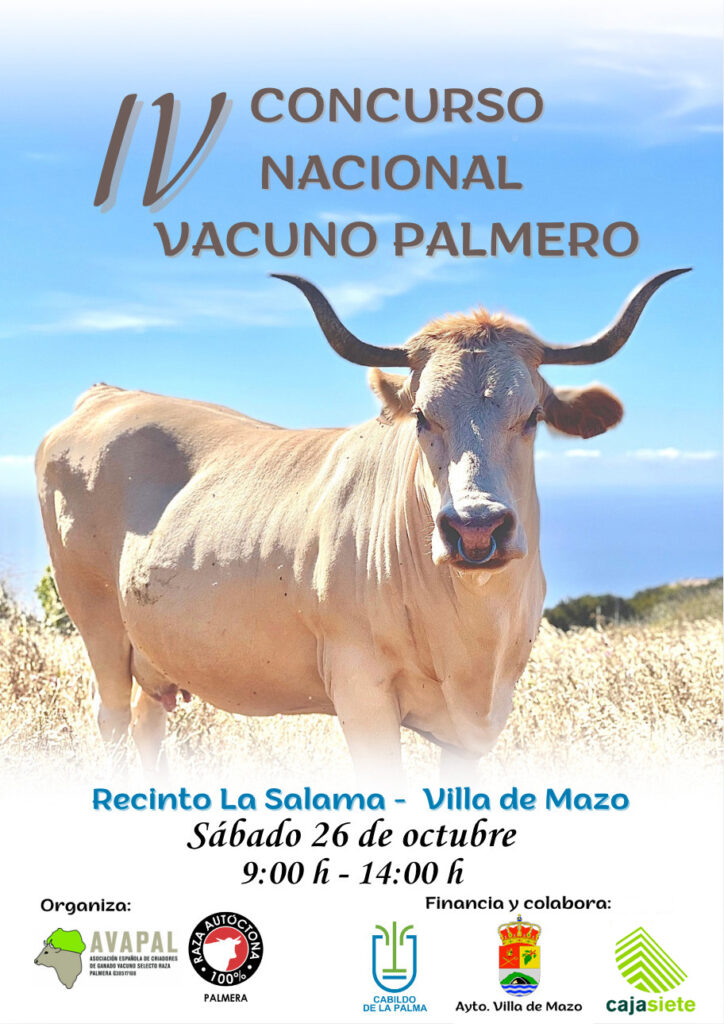 La Palma-Villa de Mazo Viehzucht-Wettbewerb in Villa de Mazo 92 Viehzucht