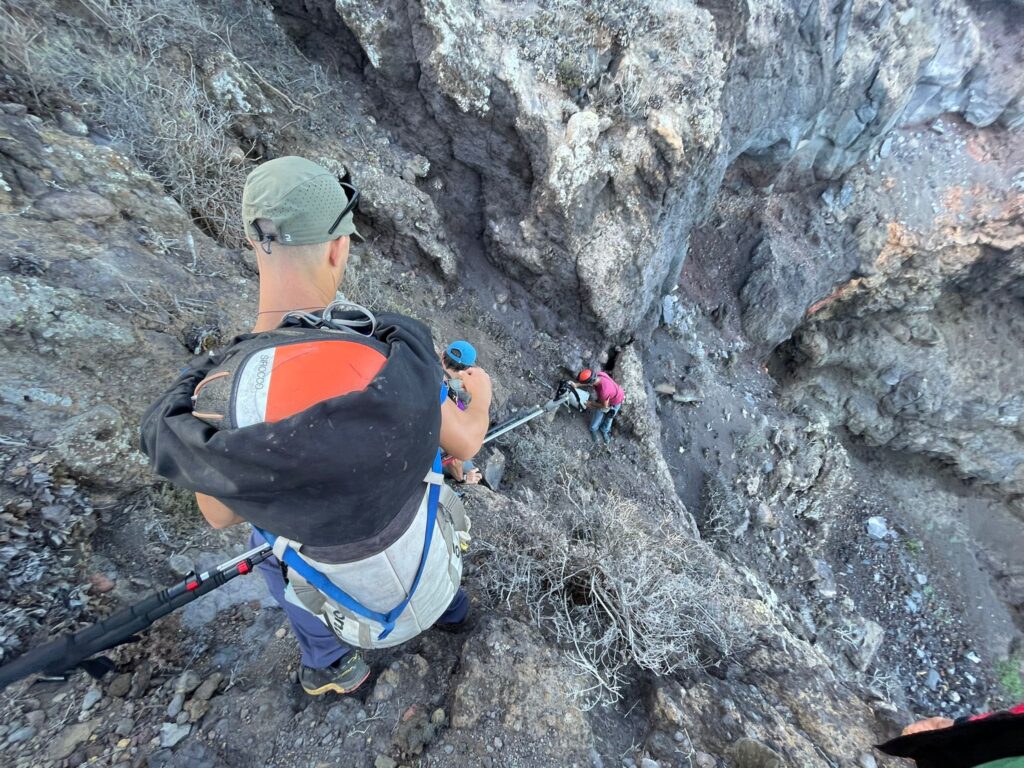 El Hierro - Valverde Riesenechsen auf El Hierro freigesetzt 91 Riesenechse
