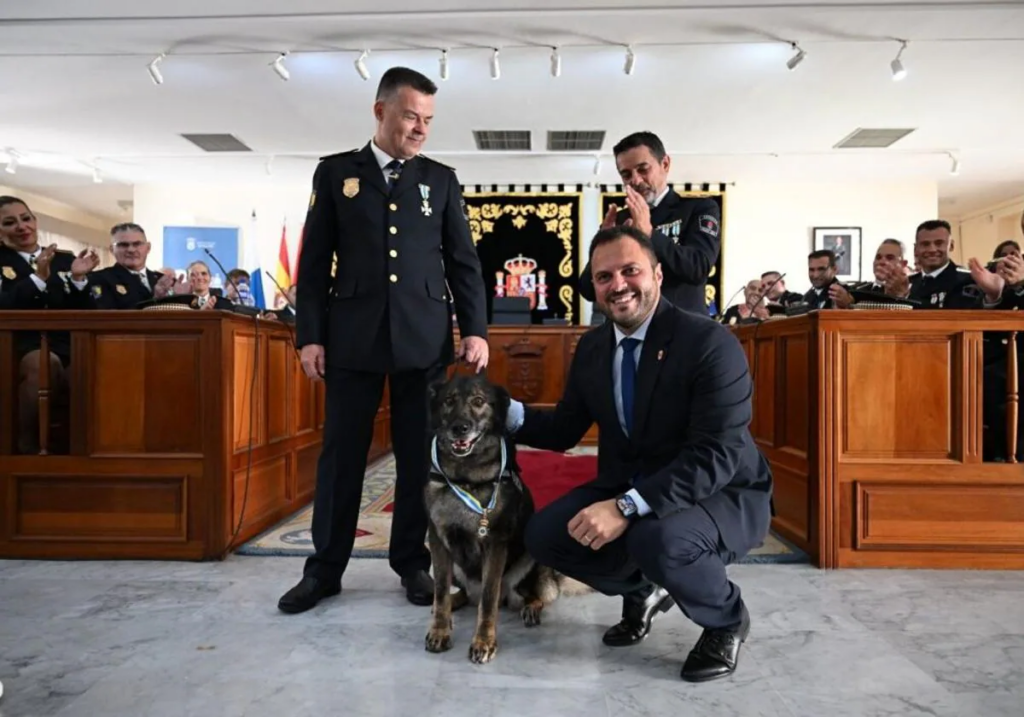 Lanzarote - Arrecife Polizeihündin Nala ging in Rente 94 Polizeihund