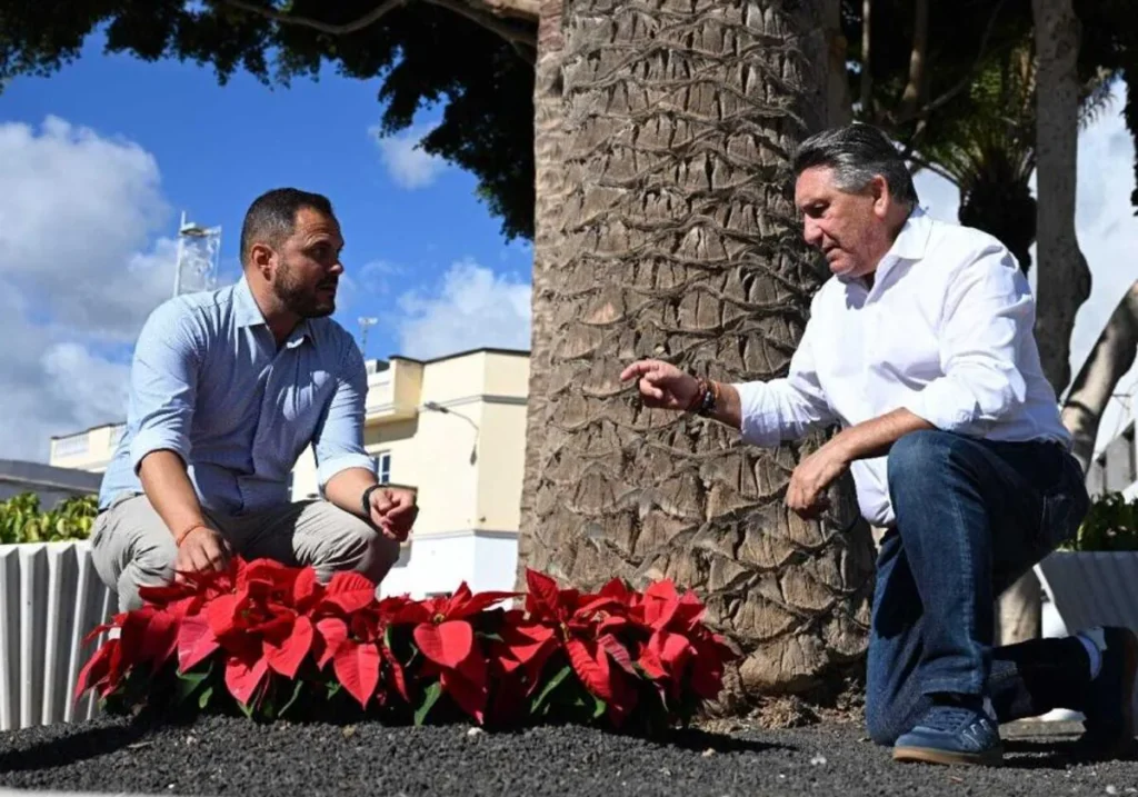 Lanzarote - Arrecife Tausende Weihnachtssterne für Arrecife 95 Tausende