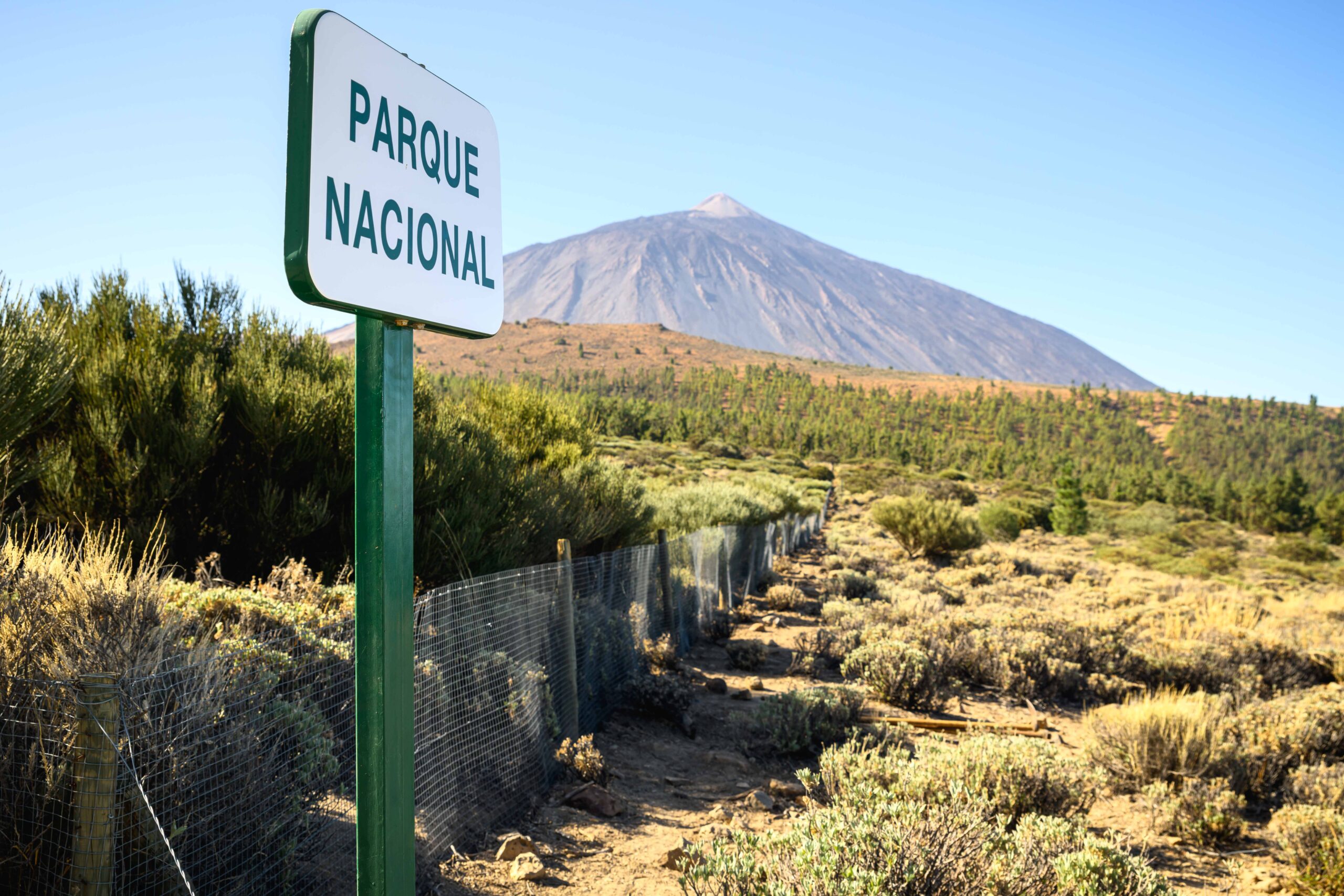 Teide scaled