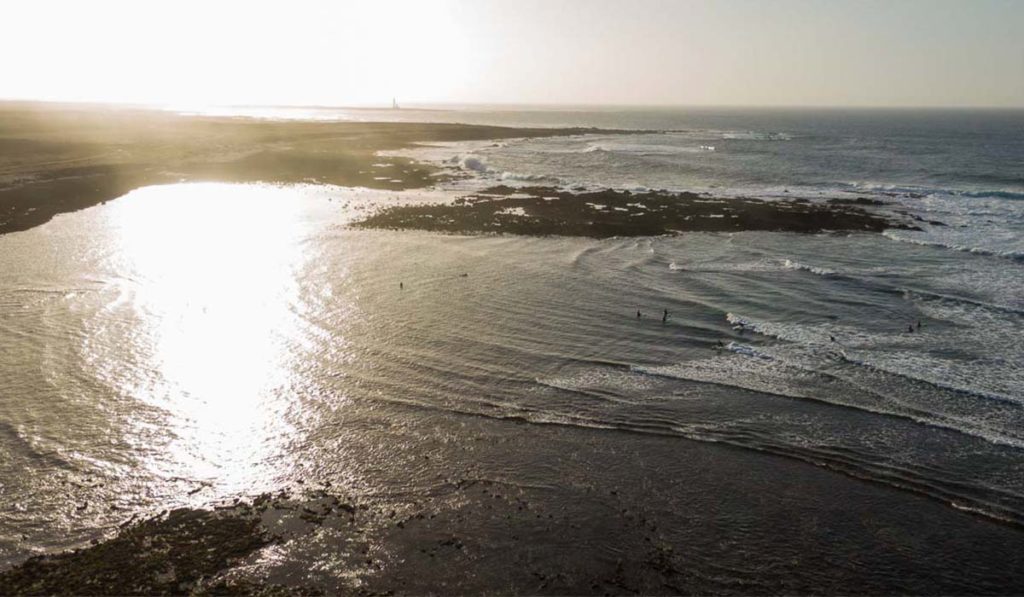Windsurfer