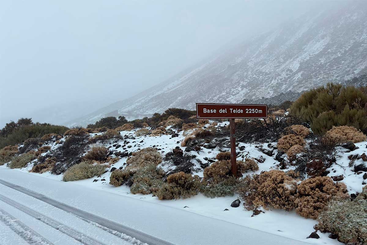 teide nieve accesos