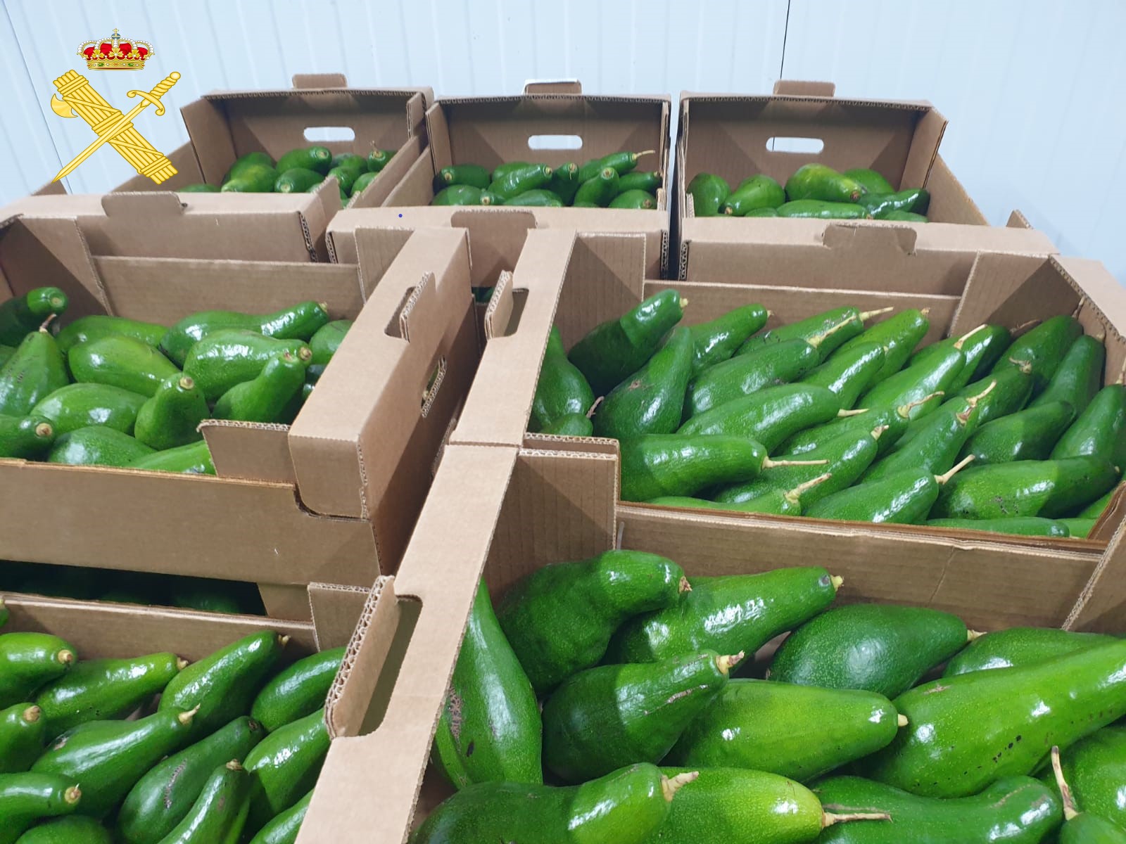 Avocados