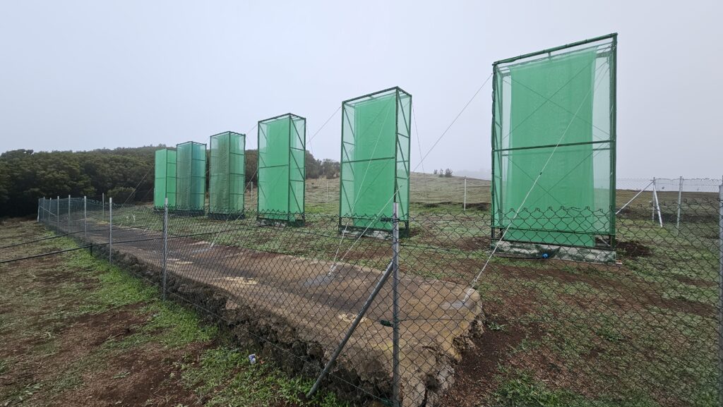 El Hierro - Valverde: El Hierro installiert Wolkenmelker 97 El Hierro
