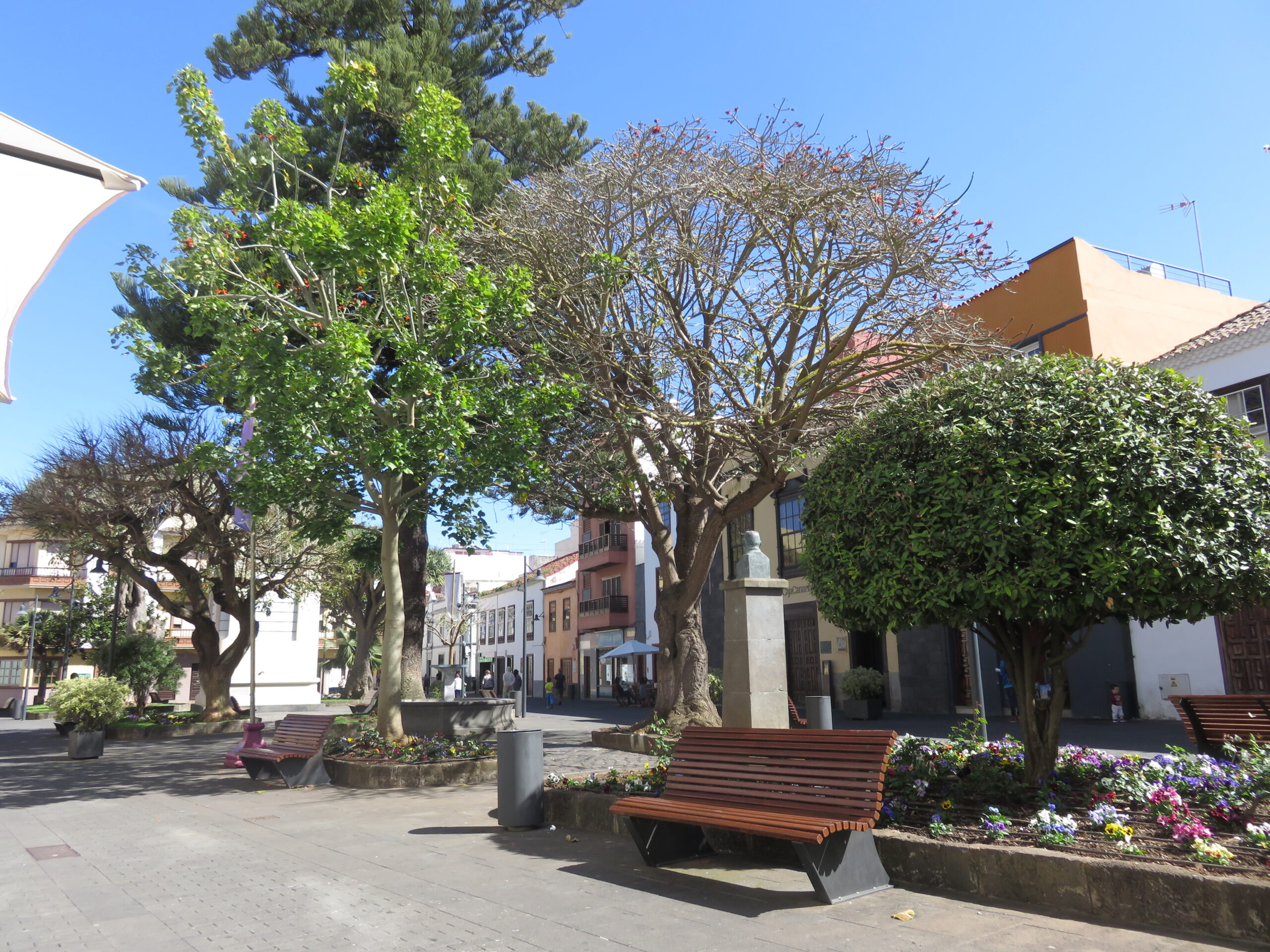 La Laguna 2 scaled