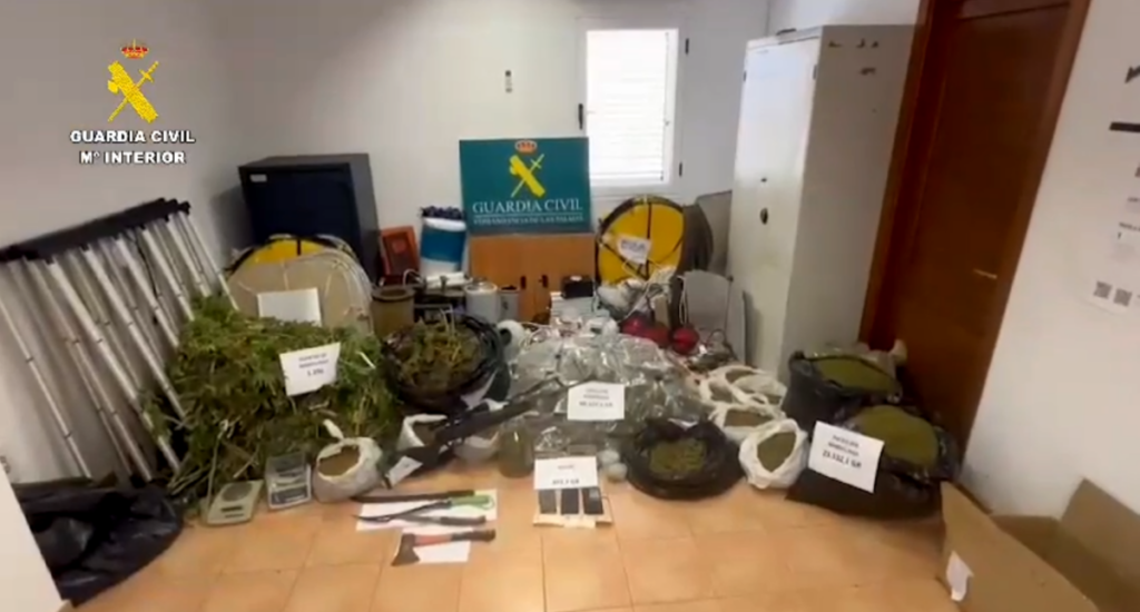 Lanzarote, Tahiche: Cannabis-Plantage aufgeflogen 93 Cannabis