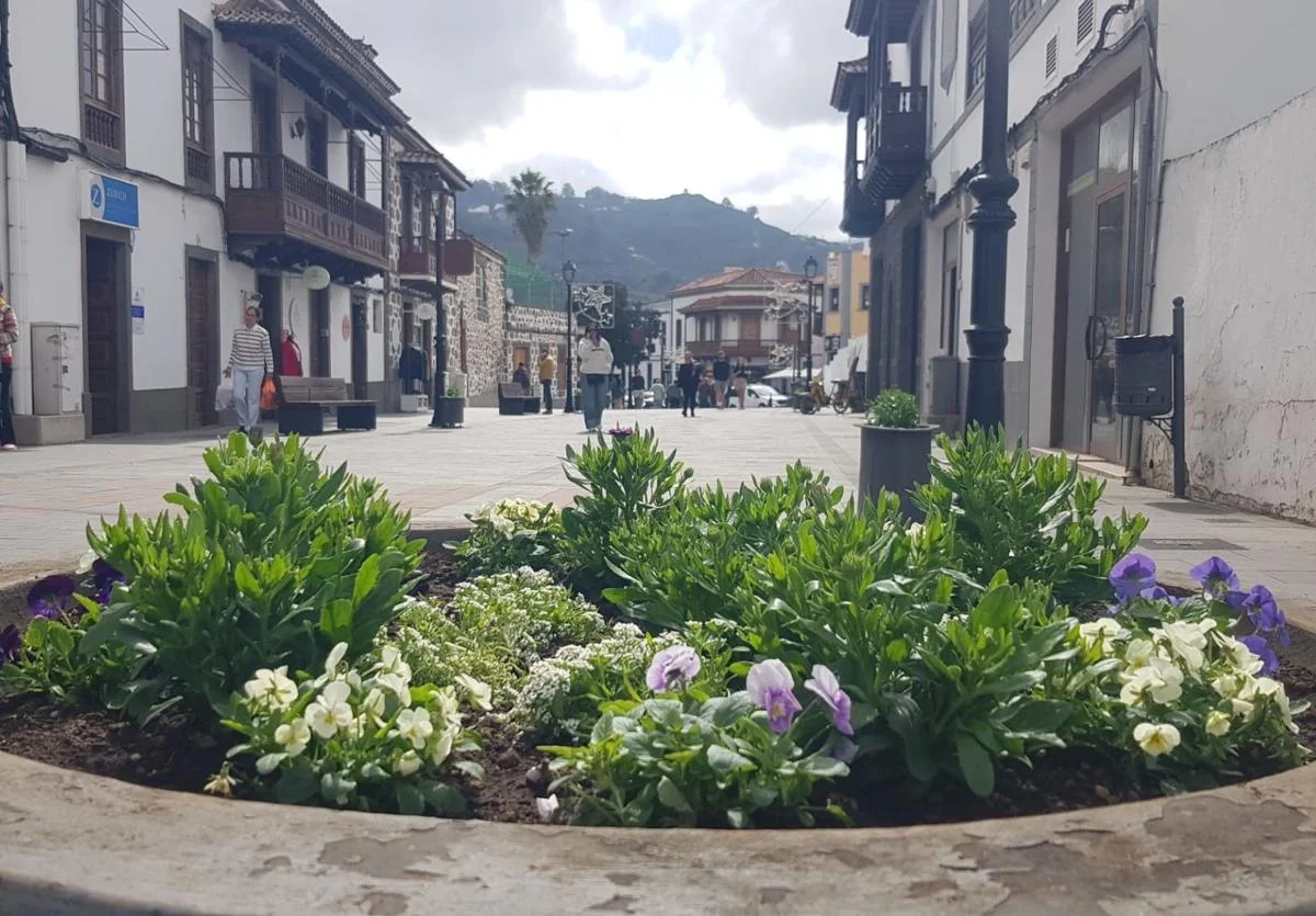 Teror