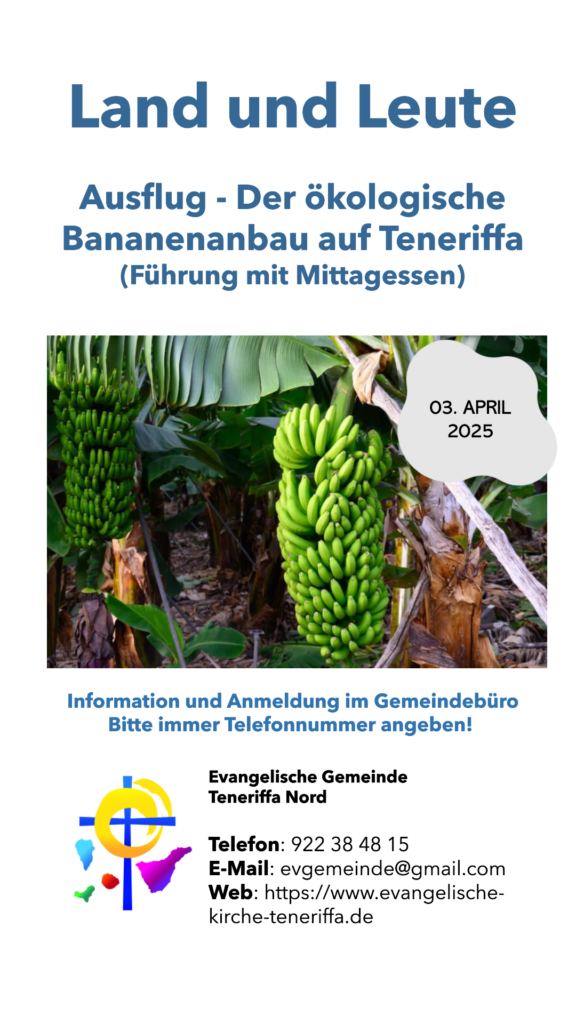 Ausflug Bananenfinca