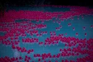 Pink Patos