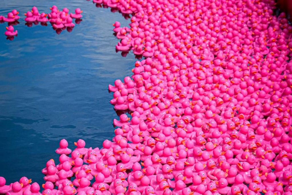 Pink