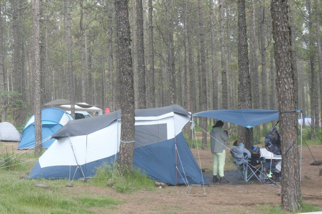 Campen