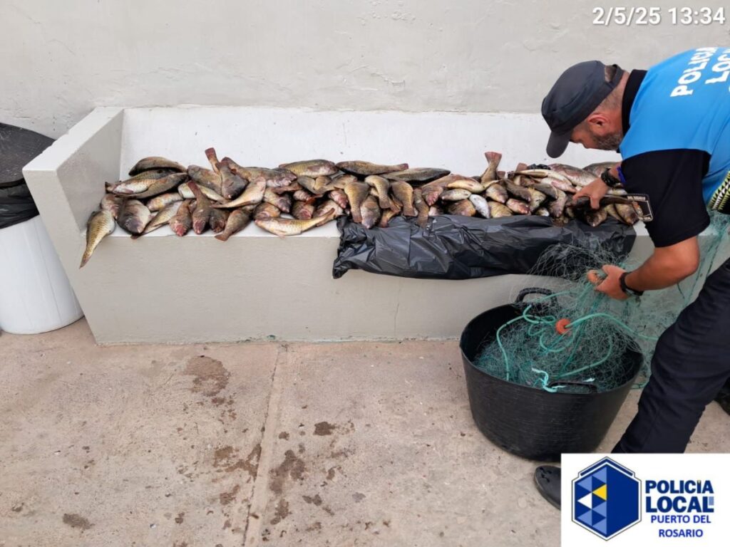 Fuerteventura, Puerto del Rosario: Fischwilderer auf frischer Tat ertappt 92 FIschwilderer