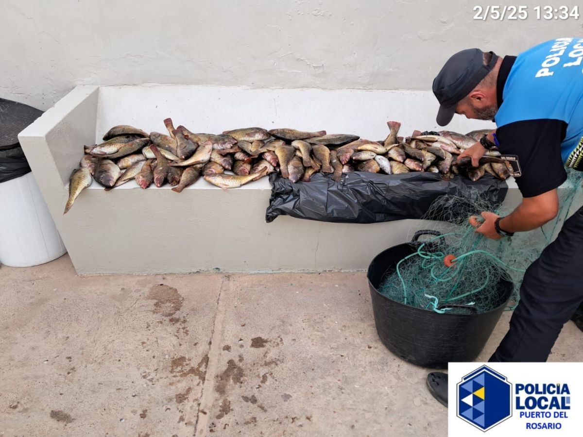 FIschwilderer