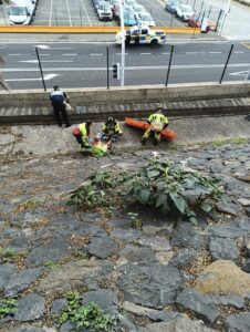 Feuerwehreinsatz