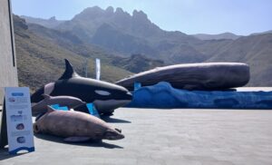 Loro Parque