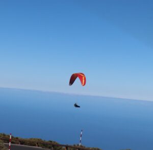 Paraglider