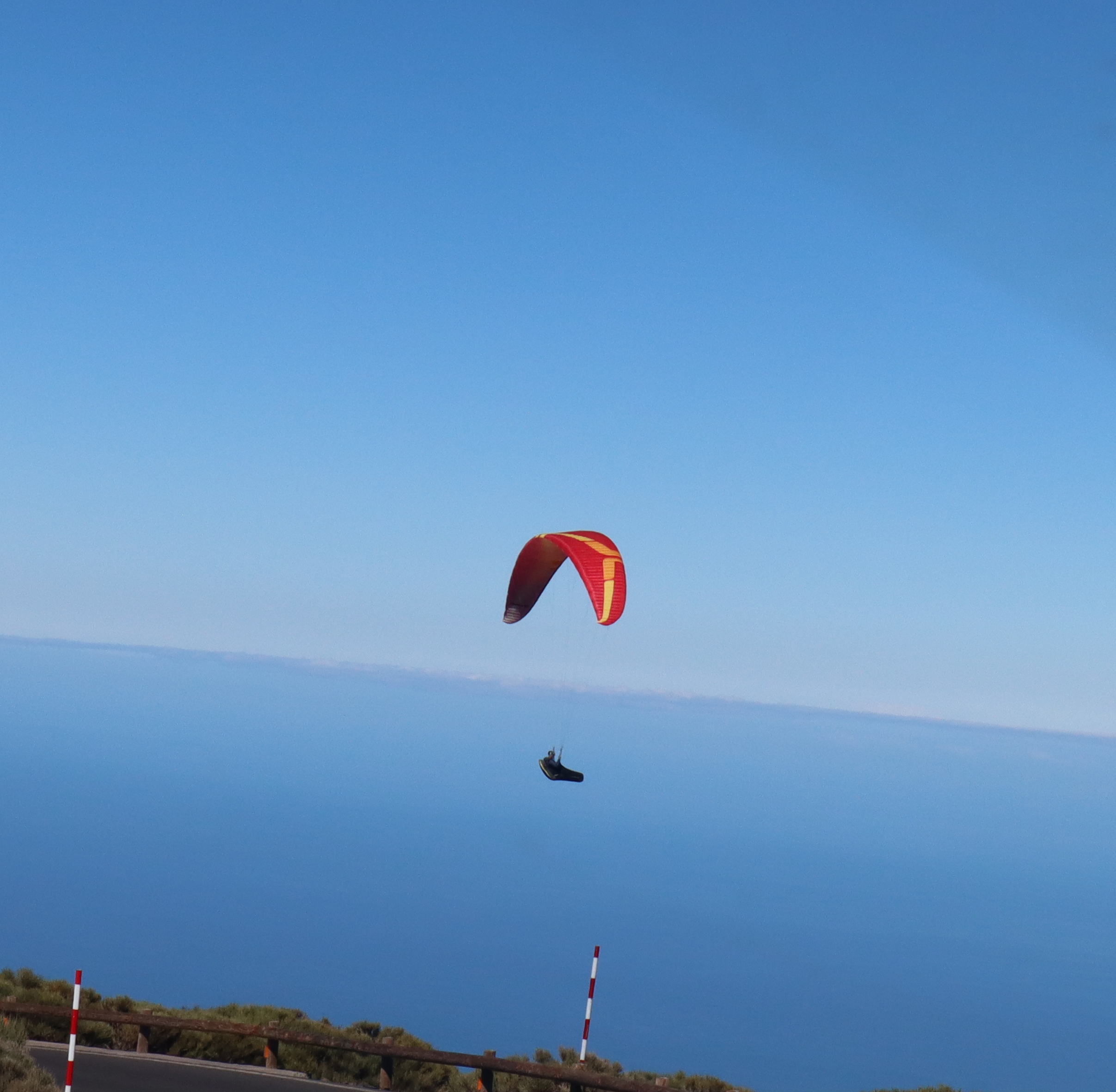 Paraglider