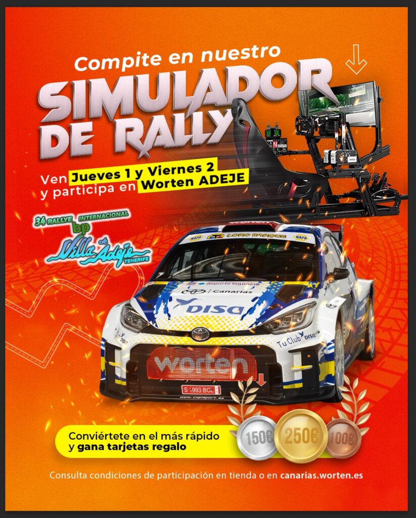 Rallye Simulator