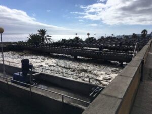 Santa Cruz
