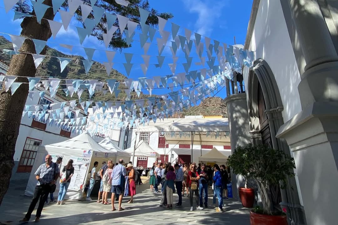 Bio Agulo