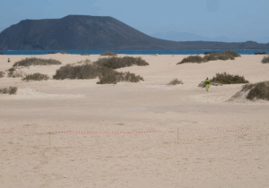Sand