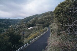 Verkehrsbehinderung 1