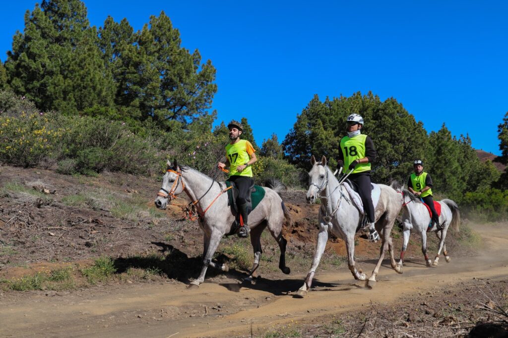 La Palma, Villa de Mazos: Erfolgreicher Raid in den Bergen 93 erfolgreicher