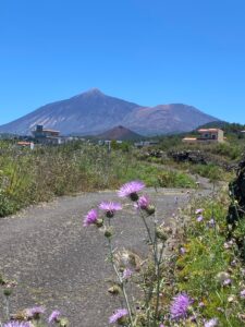 IMG 20240525 WA0053