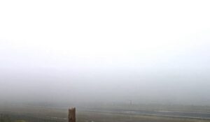 Nebel