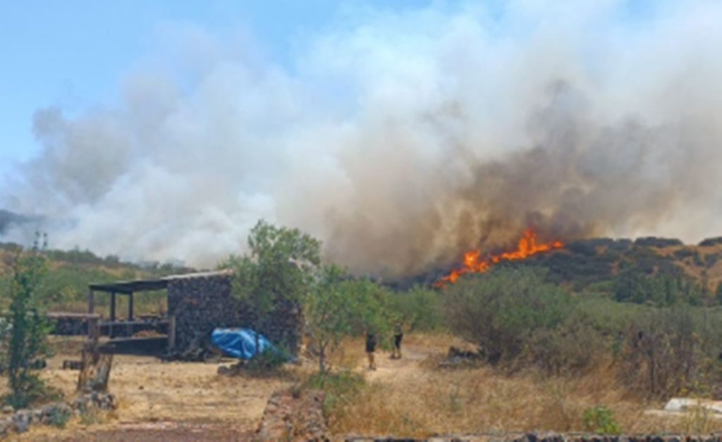 Waldbrand 1