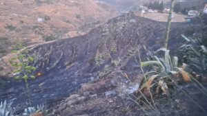 Waldbrand