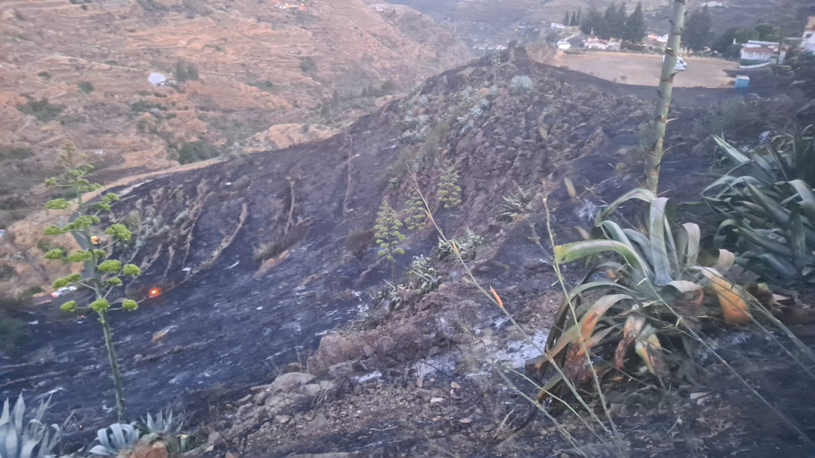 Waldbrand