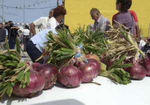 Zwiebelfest