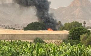 BRand 1
