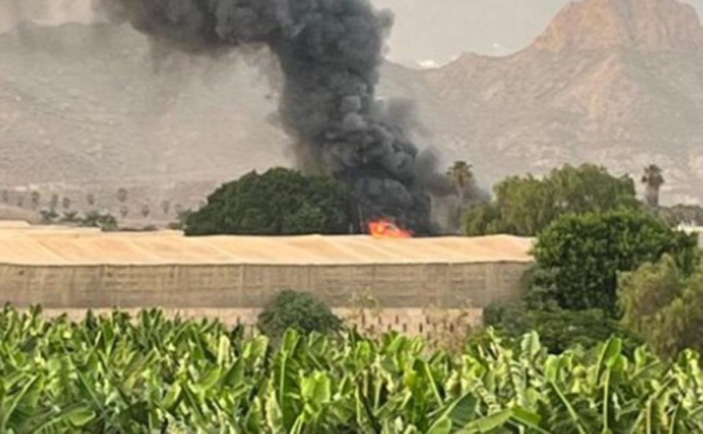 BRand 1