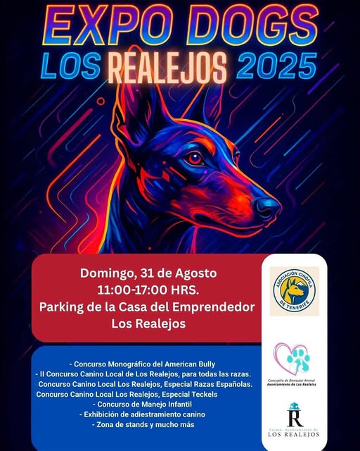 Hundeausstellung